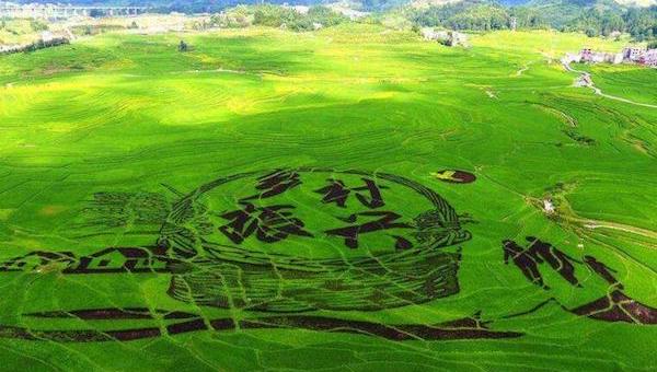 乡村振兴与智慧农业的开展息息相关.jpeg 乡村振兴与智慧农业的开展息息相关.jpeg