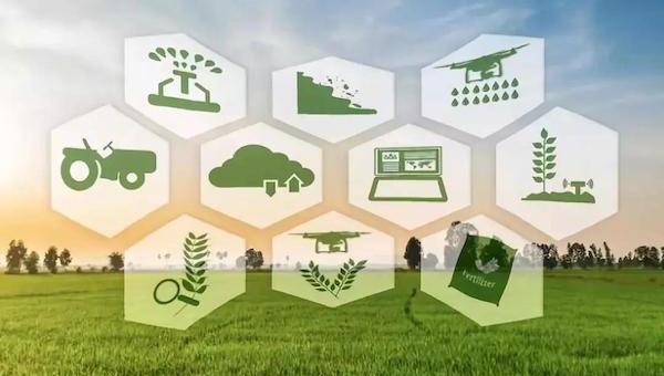 乡村振兴与智慧农业的开展息息相关.jpeg 乡村振兴与智慧农业的开展息息相关.jpeg