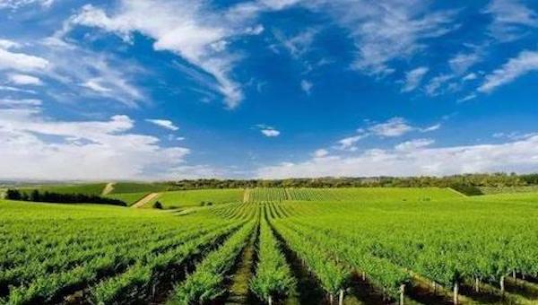 乡村振兴与智慧农业的开展息息相关.jpeg 乡村振兴与智慧农业的开展息息相关.jpeg