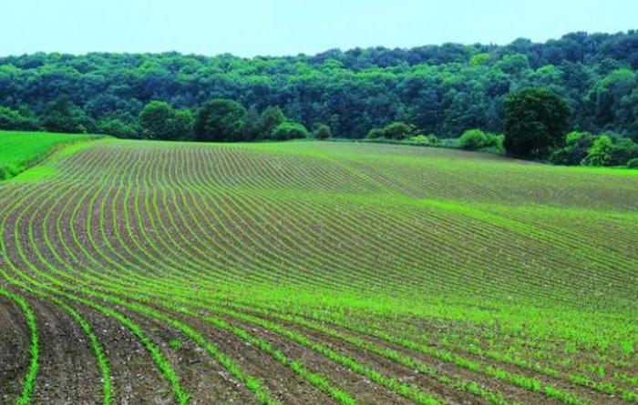 带你分析水肥一体化.jpeg 带你分析水肥一体化.jpeg